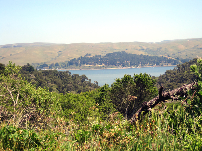 Way to Tomales Bay Park